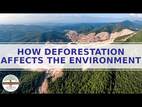 What is the most accurate definition of deforestation?