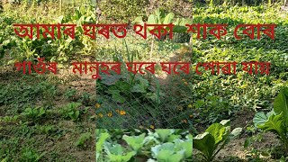 আমাৰ ঘৰত থকা শাক বোৰ#youtobe #vlog #video