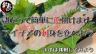 誰だって簡単に魚捌けます～アイナメの刺し身を食べよう～