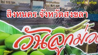 งานวันลูกม่วงเบา GI สิงหนคร จังหวัดสงขลา