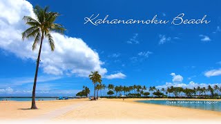 One of the Best Beach in Oahu | Hilton Hawaiian Village | Kahanamoku Beach 🌴 Hawaii 4K