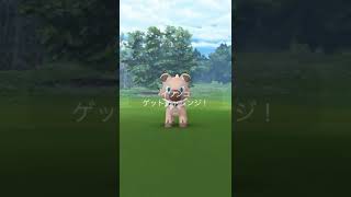 【ポケモンGO】今度こそイワンコ色違い出したい