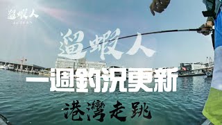 [遛蝦人] 前打 生態釣查 一週釣況更新 前打 黑吉 魚港前打 釣魚