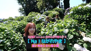 三姉妹ユニット三姿舞のみんなで踊ろう！【 Na!ながれやま 】「前ヶ崎あじさい通り編」