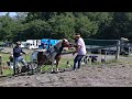 ＃第23回ふらのホースフェスティバルポニーばんば競技大会　 トレッキングサポート遊馬　4️⃣