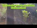 der botanische garten von assuan kitchener insel