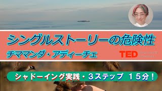 チママンダ・ンゴズィ・アディーチェ TED Talkでシャドーイング 17『シングルストーリーの危険性』 (2009)