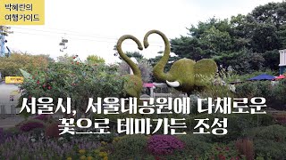 박혜란의 여행가이드 - 서울시 서울대공원에 다채로운 꽃의 향연이 한창이다  장미를 중심으로 화려한 가을꽃이 만개한 테마가든과 메밀꽃 가든 등으로 가을정취가 물씬 느껴지고 있습니다.