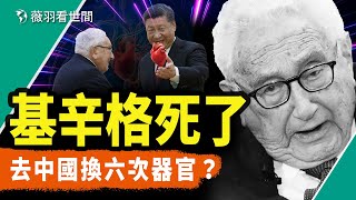 基辛格死於器官移植？從猶太難民到外交家，基辛格的發跡歷程和秘密外交。｜薇羽看世間 第794期 20231130