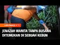 Jenazah Wanita Tanpa Busana Ditemukan di Sebuah Kebun di Depok | Liputan 6