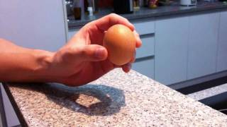 Egg STANDS on end!!
