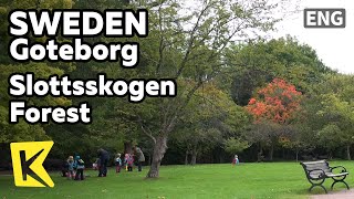 【K】Sweden Travel-Goteborg[스웨덴 여행-예테보리]스로츠스코겐 숲의 한가한 오후/Slottsskogen Forest/Goteborg Botanical Garden