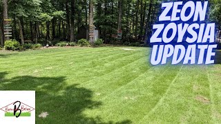 Is Zeon Zoysia Shade Tolerant?