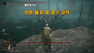 [엘든링DLC] 영혼 불꽃 용 꼼수 공략 - 묘지 평원