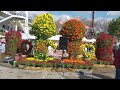 국화축제 양산 대규모 황산공원에. 다녀왔어요