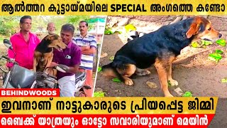 ചായയും ബിസ്ക്കറ്റും വടയും കഴിച്ച് ആൽത്തറയിലിരിക്കുന്ന ജിമ്മി...