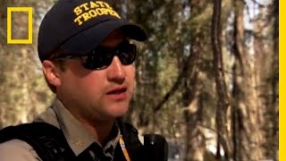 Baiting Bears | Alaska State Troopers