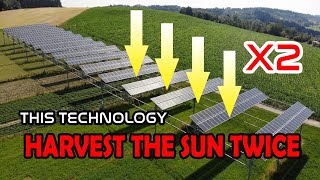 Agrivoltaics or Solar Farms have ''SHOCKING'' benefits