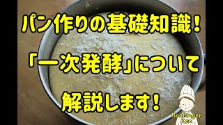 【パン作りの基礎知識】パンの美味しさはこれで決まる⁉「一次発酵」について解説します。