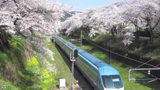 山北の桜と特急あさぎり