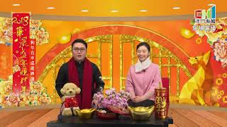 【現場直播】華麗盛宴旺財年狗年花車巡遊匯演