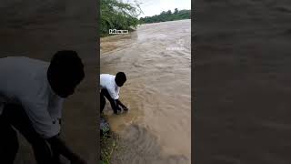 River fishing raund net fishing subscribe please