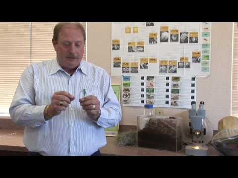 Ant Control : How to Get Rid of Ants in the Car Ant Control : How to Get Rid of Ants in the Car