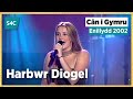 Harbwr Diogel | Enillydd Cân i Gymru 2002 Winner | CIG 2002