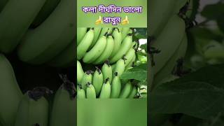 যেসব পদ্ধতিতে কলা দীর্ঘদিন ভালো রাখা সম্ভব🍌banana🍌#shorts #youtubeshorts #vairalshort