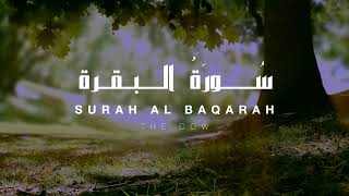 Surah Al Baqarah FULL! #powerful #albaqarah #omarhishamalarabi