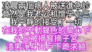 凌晨，兩個病人被送進急診，竟然是我老公和懷孕小三，我平靜的接受了一切，在我的不動聲色的關心下，小三被摘腎摘子宮，渣男淨身出戶下跪求饒【幸福人生】