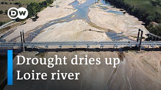 France's dried up Loire river: A disaster for the regional ecosystem | DW News