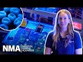 Inside our Coral Lab | National Marine Aquarium