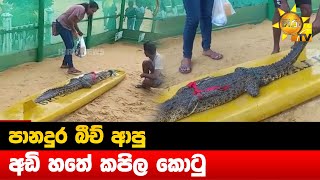 පානදුර බීච් ආපු අඩි හතේ කපිල කොටු - Hiru News