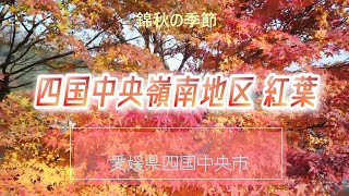 錦秋の銅山川富郷渓谷 愛媛県四国中央市