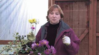 Gardening Tips : Identifying Different Types of Flowers