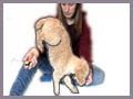Train your dog the walking handstand! Train your dog the walking handstand!
