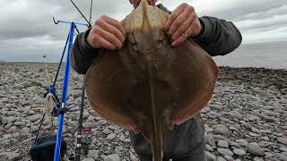 PORLOCK WEIR 18 10 24. #beachfishing #seafishinguk #bristolchannel