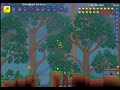 terraria time bomb 定時炸彈