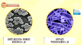 물만 마셔도 살찌는 사람, 장 건강' 무너져 있다?! | 행복한 아침 248 회