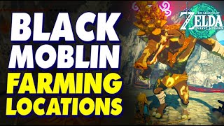 Black Moblin Farming Locations | Legend of Zelda Tears of the Kingdom Gameplay #totk