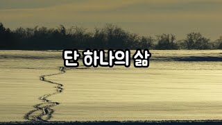 단 하나의 삶 - 메리 올리버