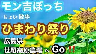 世羅高原農場 ひまわり祭り🌻モン吉ぼっち