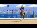 ingrid klimke geraldine quali zum nürnberger burgpokal pferd international münchen 2016