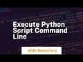 execute python script command line