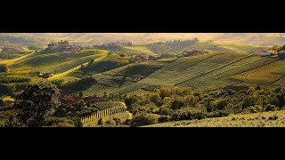 Langhe Monferrato Roero - Unesco