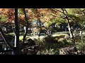 秋の紅葉散歩　荻窪　大田黒公園　2018.11.23