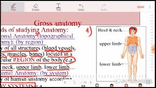 Anatomy 1 Nursing g Introduction to human body 1