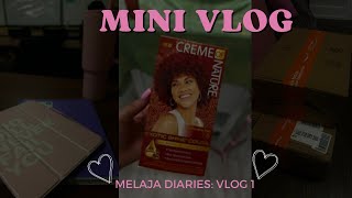 Melaja Diaries:Vlog 1 School | What color did I dye my hair? | Packages from Amazon