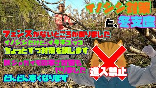 【イノシシ対策と冬支度】フェンスがないところにフェンス新設、秋ジャガイモの寒さ対策など、畑仕事をいろいろやりました